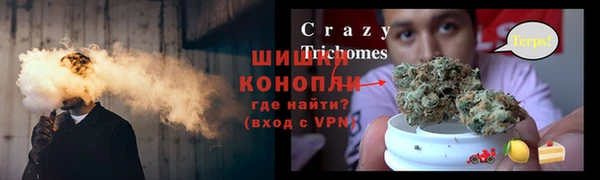круглые Аркадак