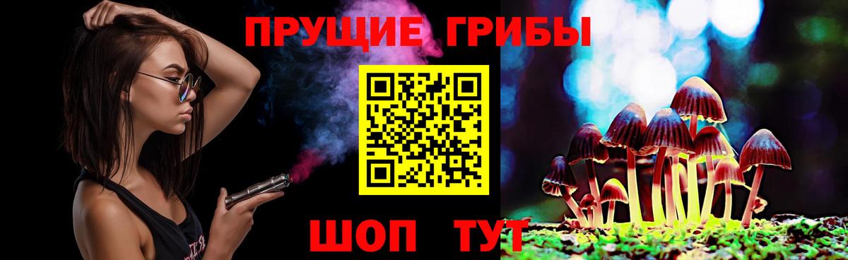 Боровичи  Псилоцибиновые грибы Psilocybine cubensis  Вход с VPN 